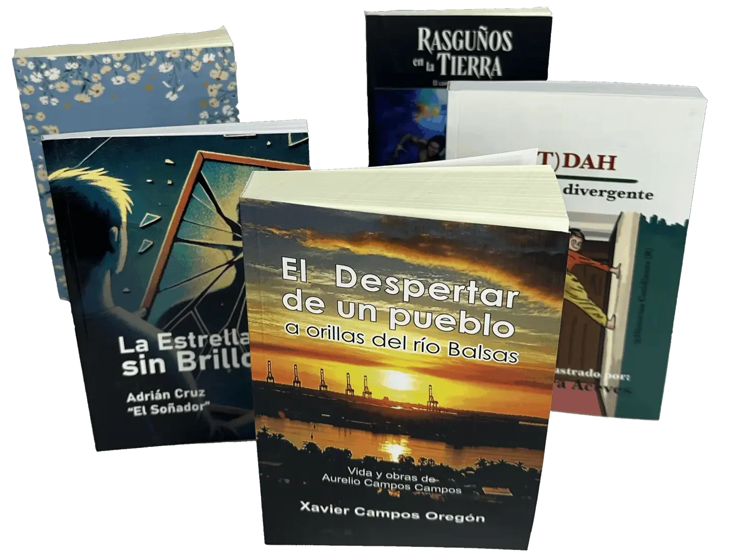 Examples of on-demand printed books with a professional finish - Dushi Company (CDMX)